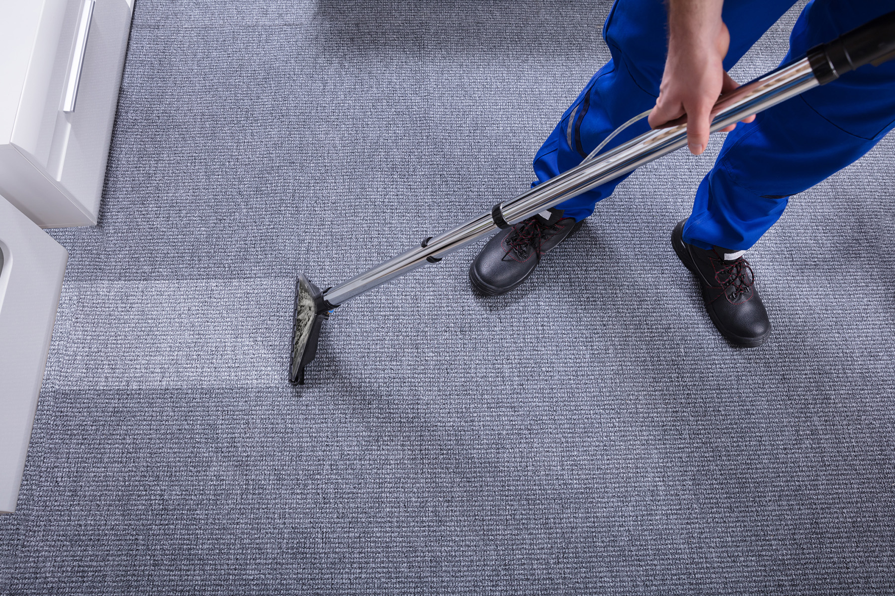 Carpet cleaning springfield ma ct
