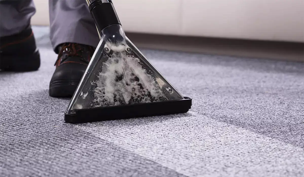 carpet-care-office-enfield